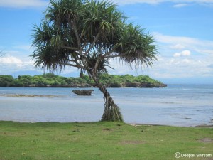 Best-Bali-Packaged-Tour