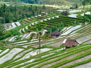 best bali tours, bali tours package, indonesia tours, cheap bali tours